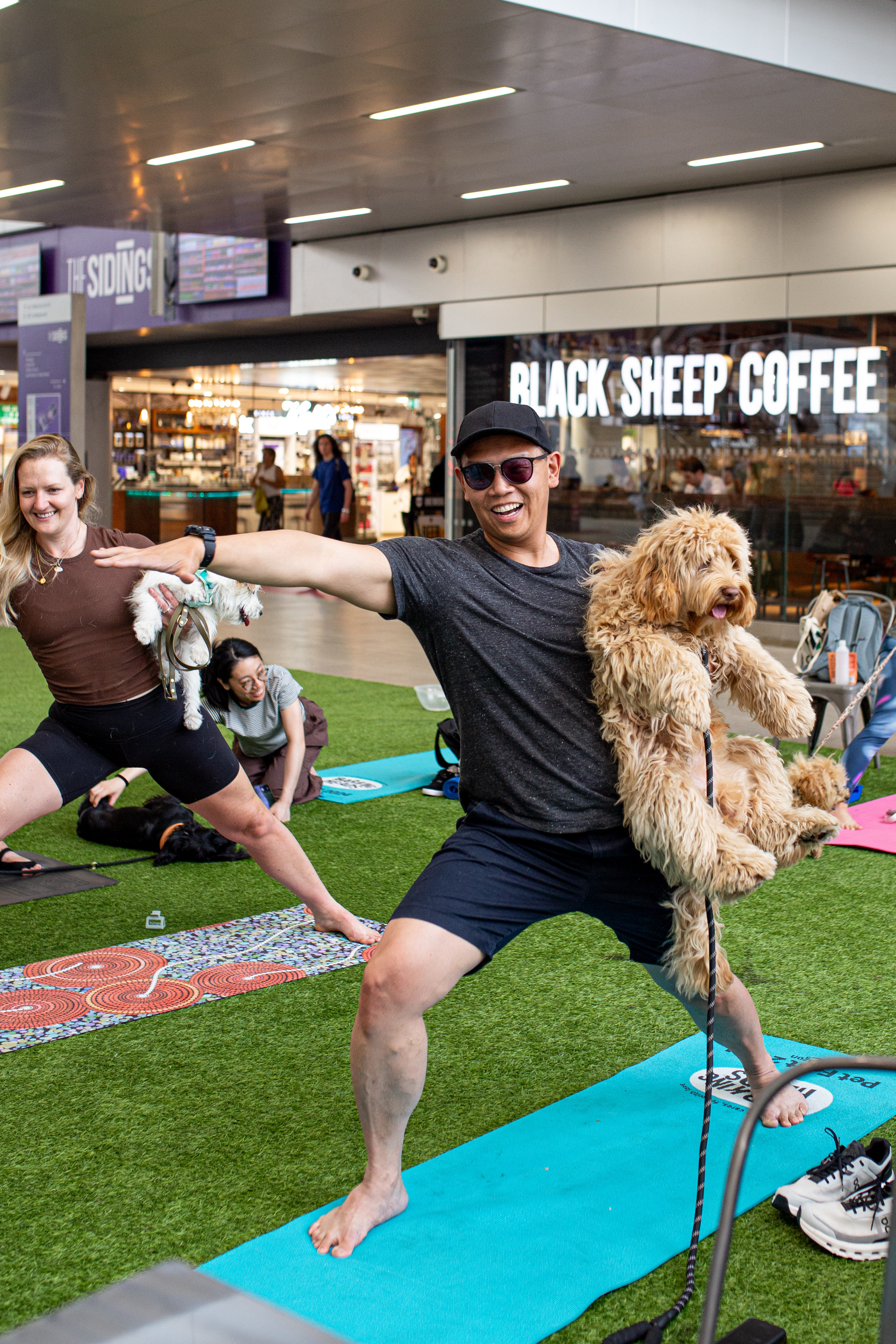 Respectful space with unleashed dogs